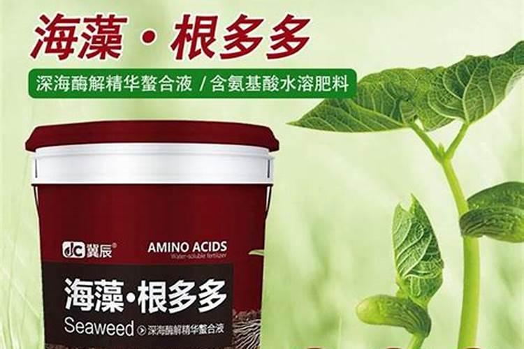 谁有生根壮苗效果比较好的水溶肥？