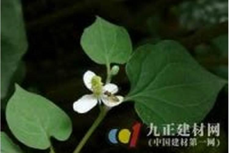 硝酸磷肥生产工艺是什么