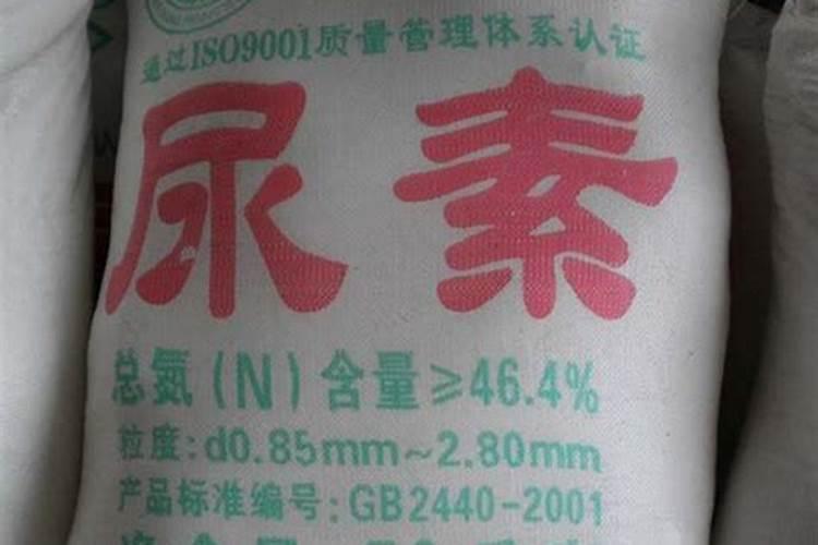 让结了香蕉的香蕉长得更好的方法