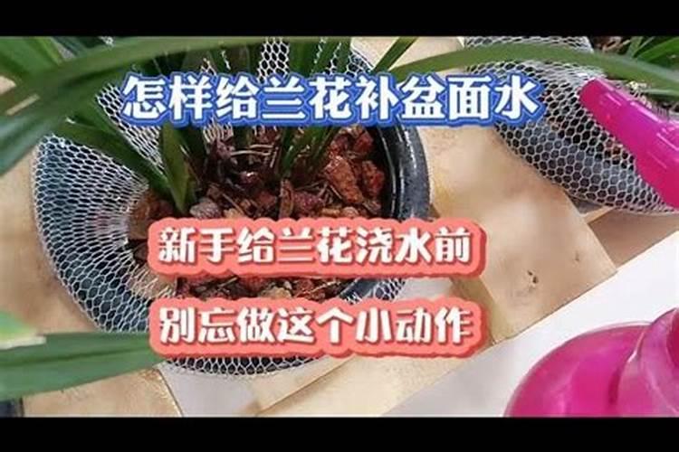 叶面肥硝酸钾应该在什么时候喷施？ 樱桃树春季管理技术