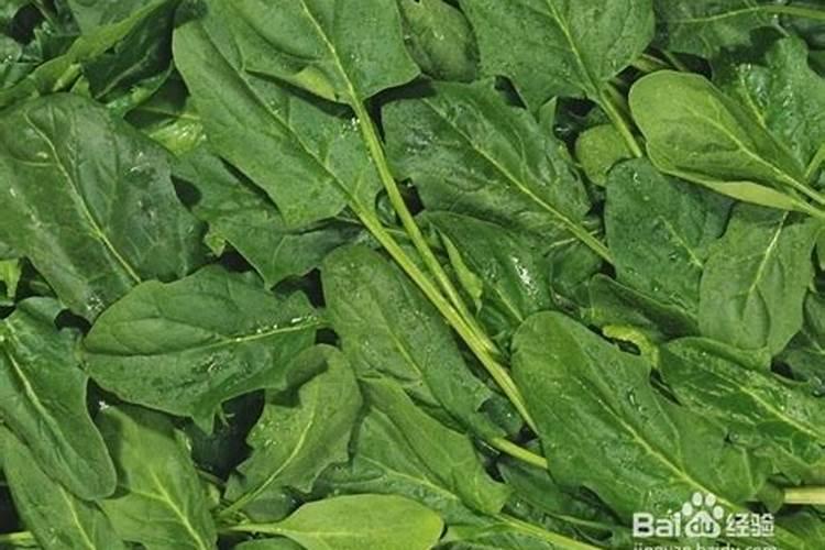 硫酸锌打苹果树干枝要释洗多少倍