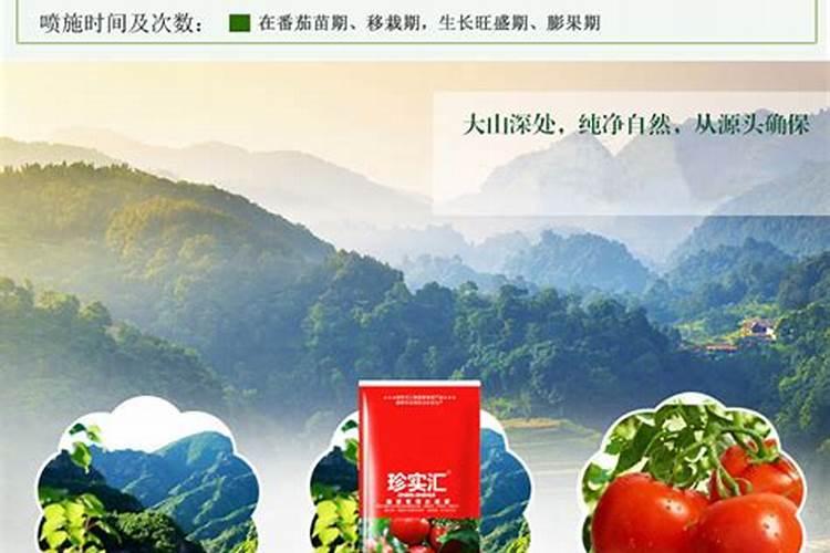 大棚茄子怎么施肥,施什么肥好