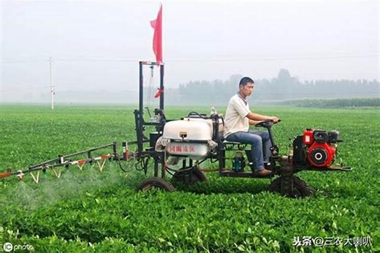 肥料怎么做 制作肥料方法