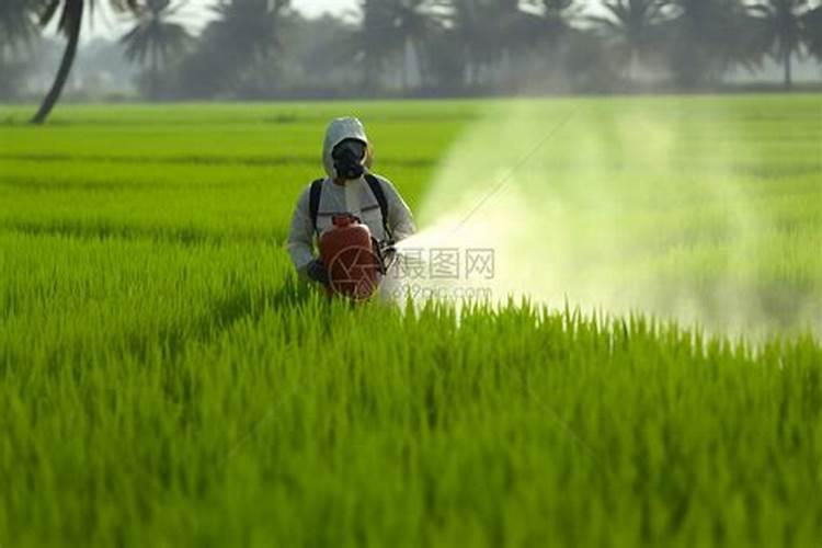 尿素对果树有什么作用？