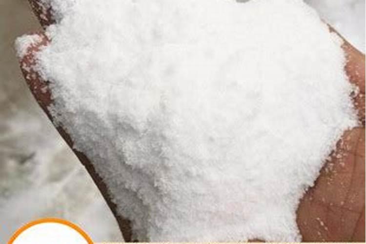 鱼蛋白灌根几天见效