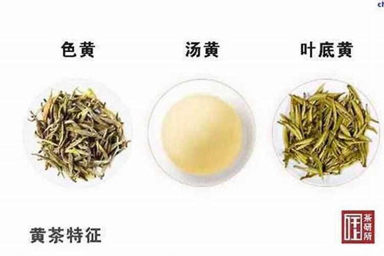 普洱茶水可以浇花吗？