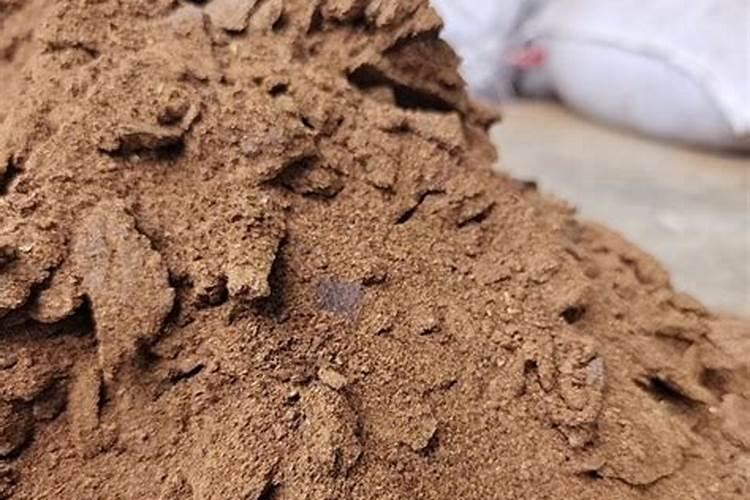 0.1mol/L碳酸氢铵的的pH值如何计算.