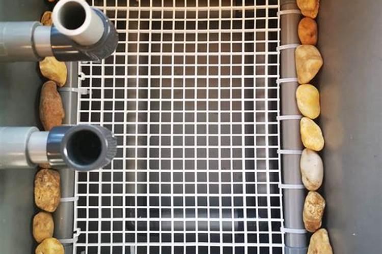 葡萄昨天打了叶面肥今天还可打吗