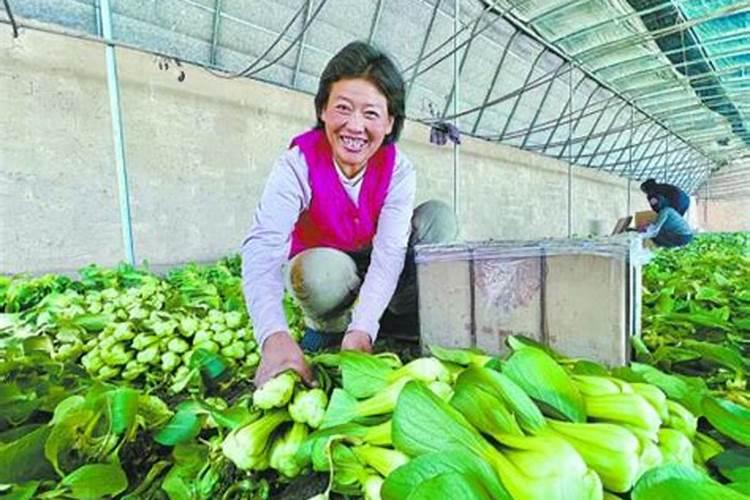 开春果树浇水最佳时间什么时候浇水好