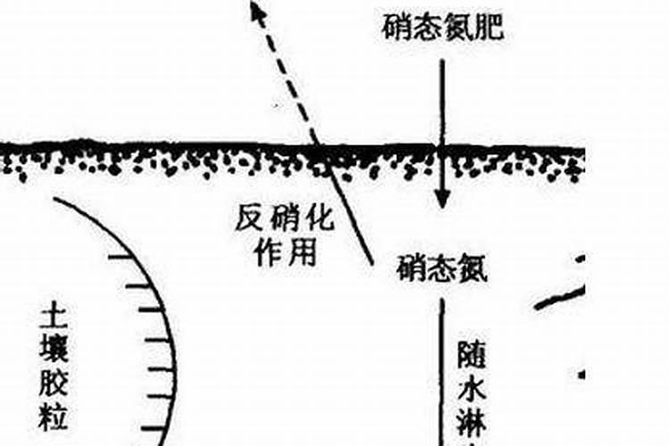 氮肥过高怎么办