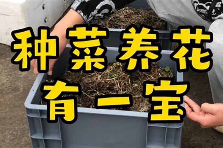 富岛复合价格查询