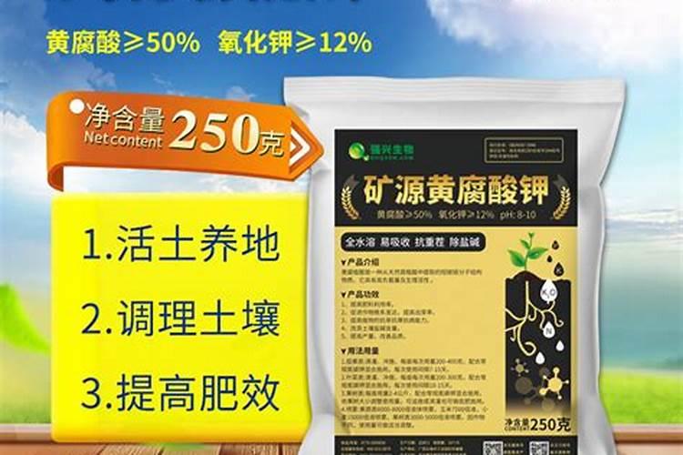 大豆磷脂的功效是什么？