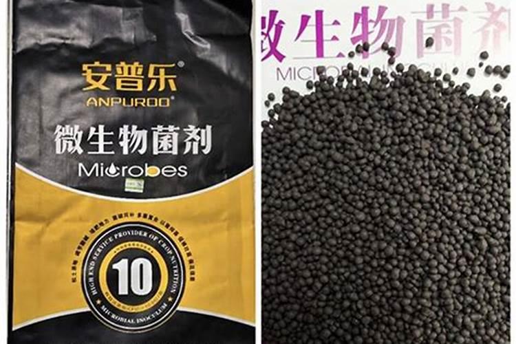 陆雅海在水稻土微生物学和碳素转化领域的代表性成果有哪些？