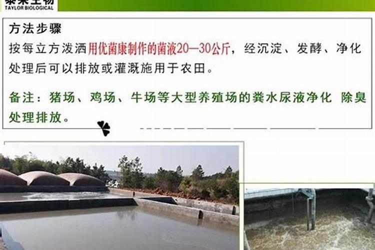 玉米须的危害 泡水有什么禁忌