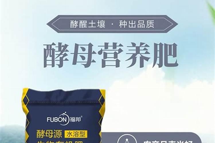 月季花秋天能换盆吗