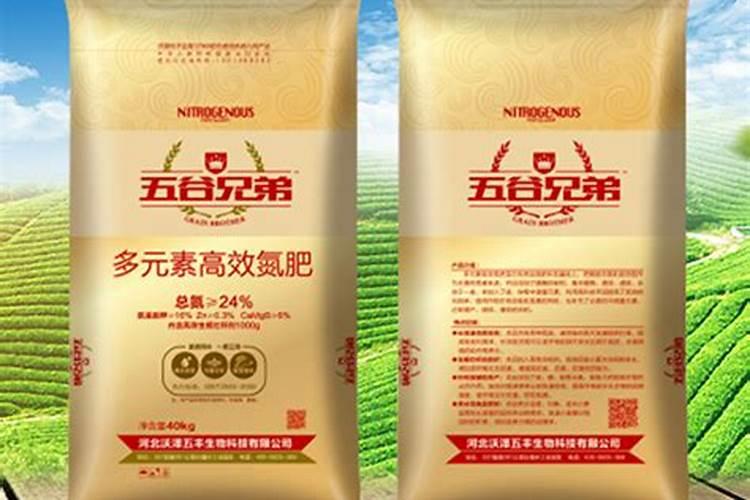 果蔬酵素的作用与功效减肥