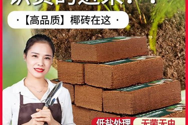 芸苔素的作用和功效