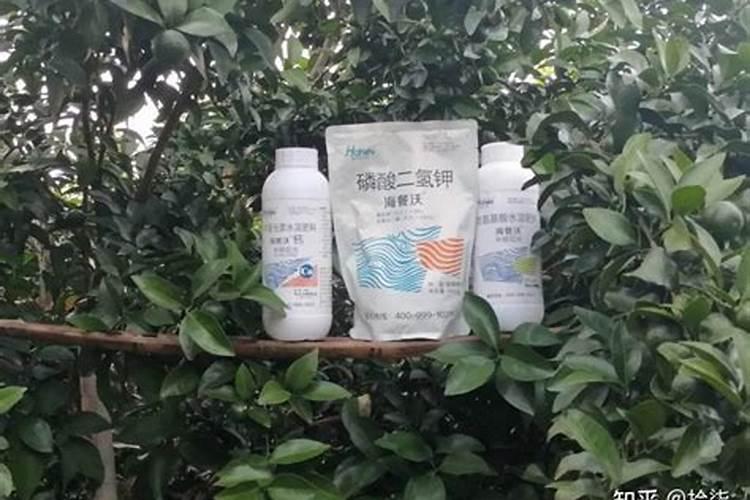 用什么钙使农作物的根增粗增长什么样的钙肥吸收利用率高