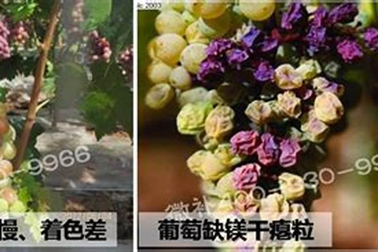 长期干旱的土壤,能增强土壤肥力的最好方法有哪些？