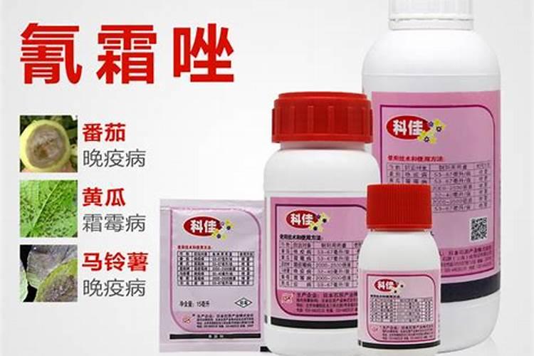 西瓜疫病防治方法