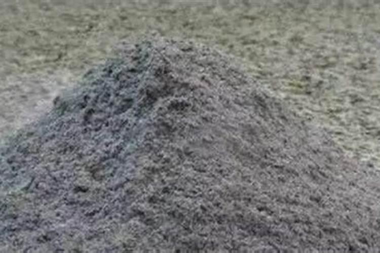 柴火灰可以种盆栽吗