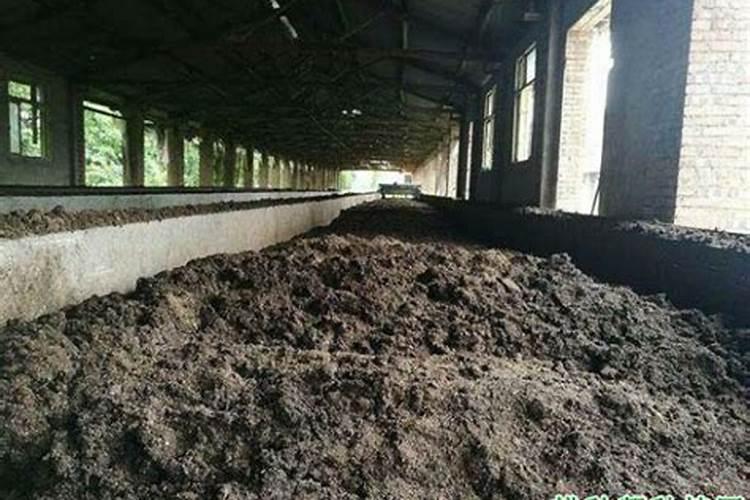 丽水市金马生物科技有限公司怎么样？