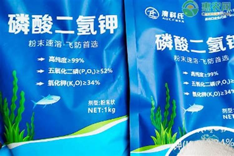 大棚阴天下雨可以打叶面肥吗