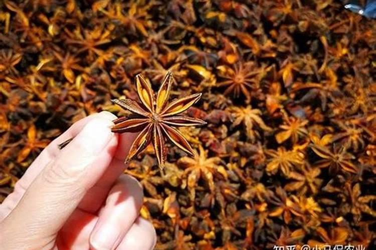 大量元素水溶肥的作用与功效 不同种类大量元素水溶肥料的用途百度知 ...