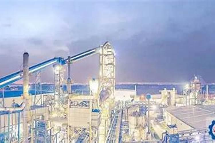 地栽月季需要天天浇水吗？