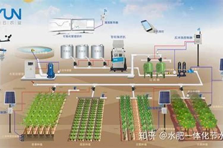 高磷肥料有什么作用和功效