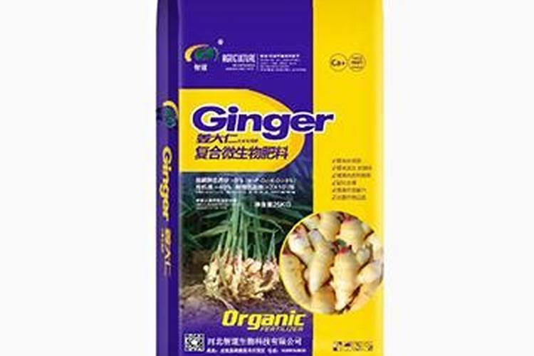 大姜用什么肥料最好