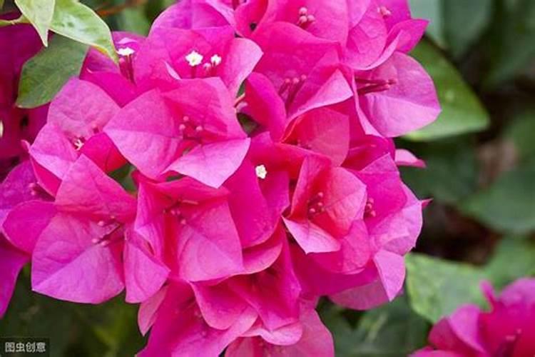 正和恒基是干什么的？