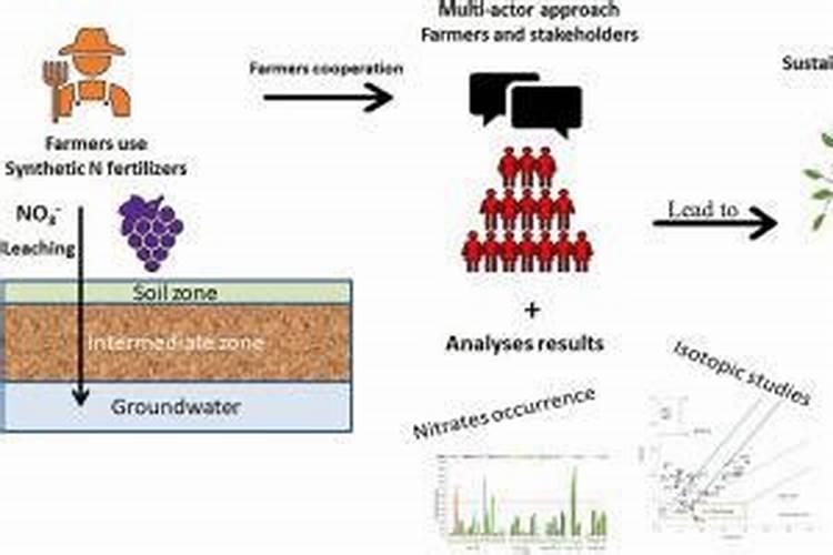 桂花施肥的最佳时间 桂花什么时候施肥