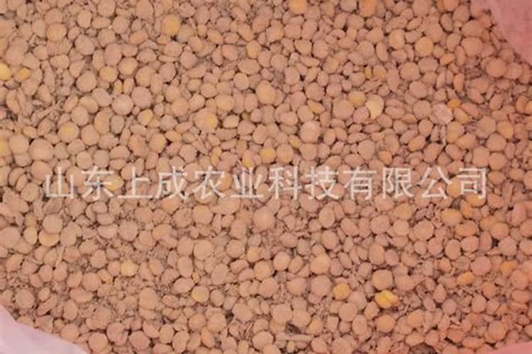 黄豆喜欢什么肥料,黄豆可以当做肥料用吗