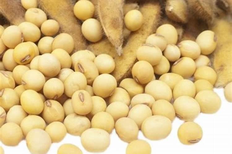 黄豆用多少肥好