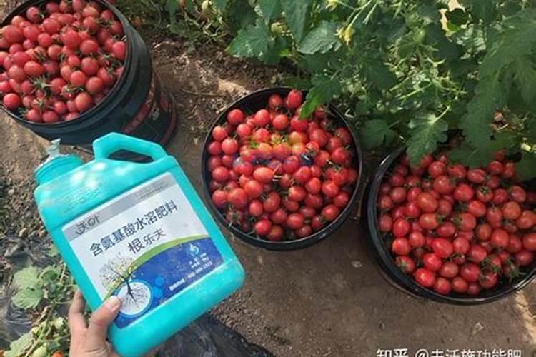 钾素肥料中钾含量的测定公式 钾肥中钾含量的测定方法