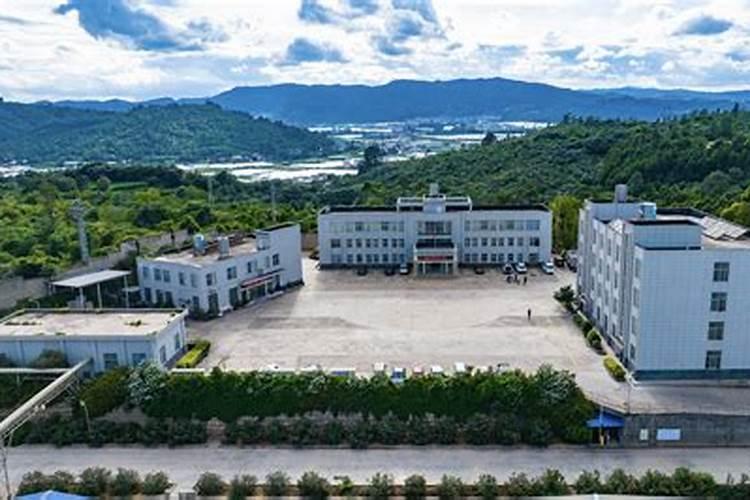 云南化肥十大名牌排名