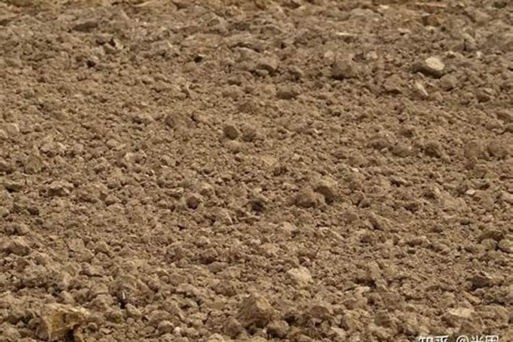 氮肥对植物的作用 氮肥对植物作用