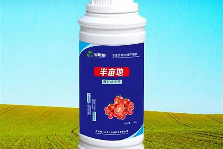 空心菜黄叶用什么肥和药