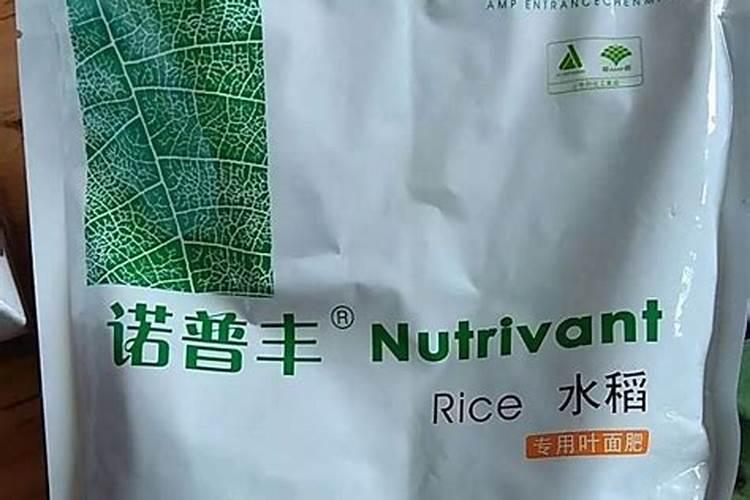 如何选购好用的叶面肥料