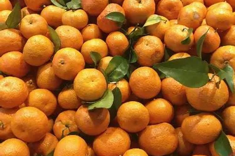 小麦施肥的几个技巧