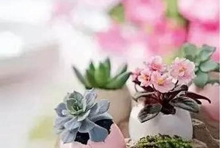 生鸡蛋能浇花吗