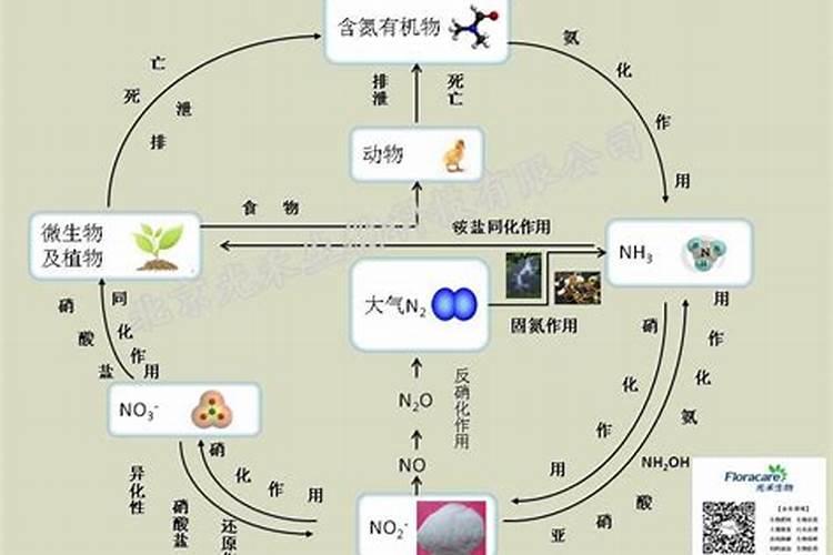 种菜慎用这些肥料