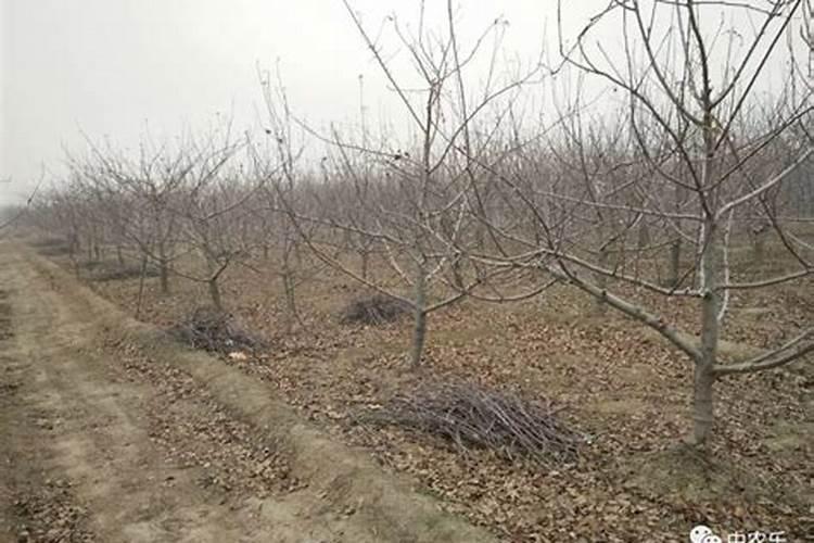 求问请举例说明原生矿物和次生矿物有什么区别吗？