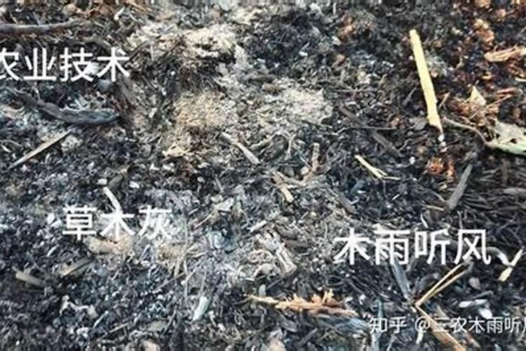 农民用草木灰作为肥料施撒到农田里的科学道理