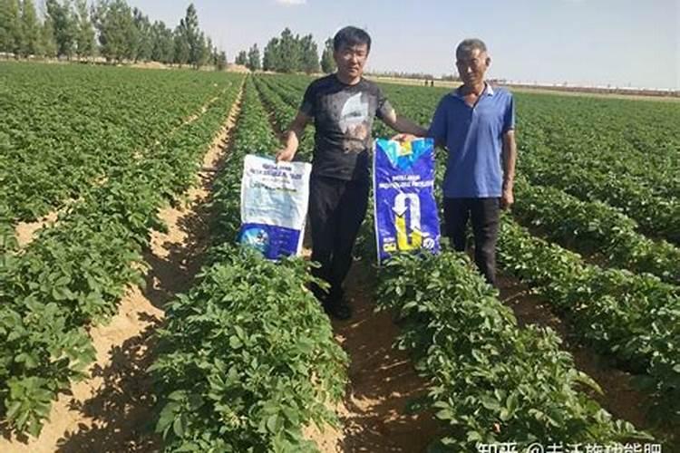 冲施的钙肥有哪些？