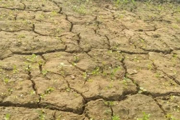 鸡粪有机肥国家标准的含量