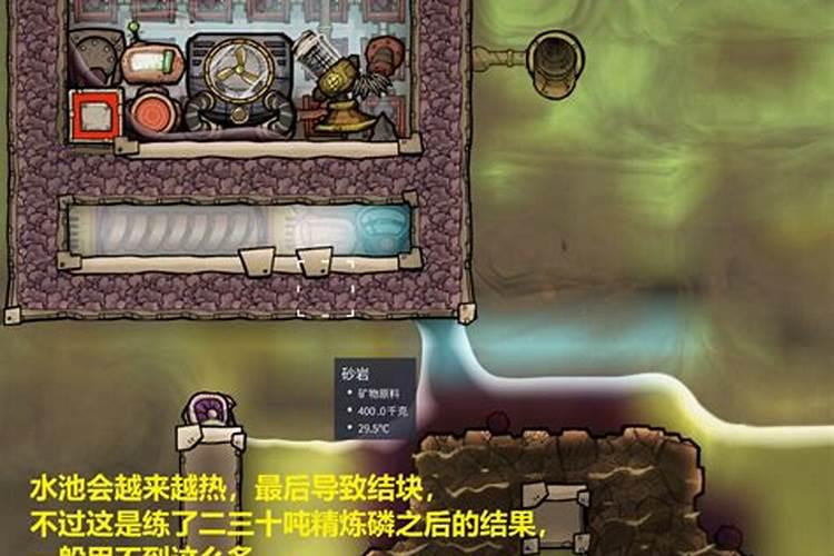 发酵猪粪能直接用来做肥料吗？