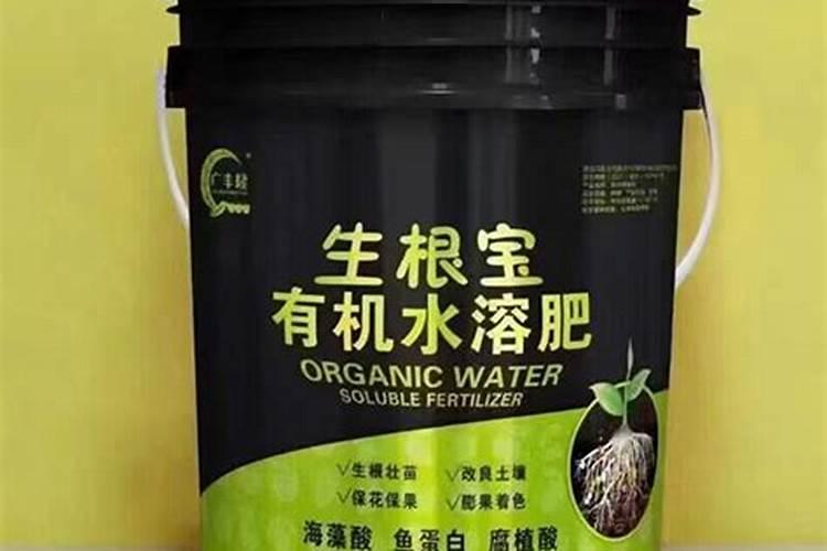 如何给栀子花施肥