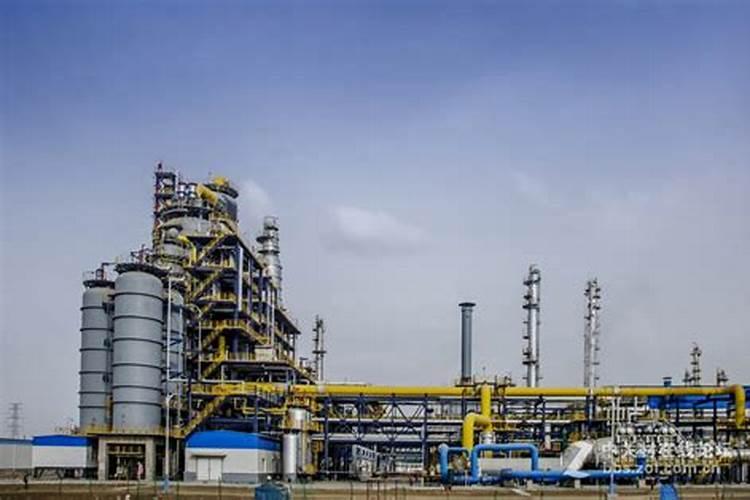 无土栽培萝卜苗的方法 无土栽培萝卜苗的方法是什么